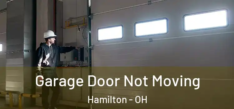  Garage Door Not Moving Hamilton - OH