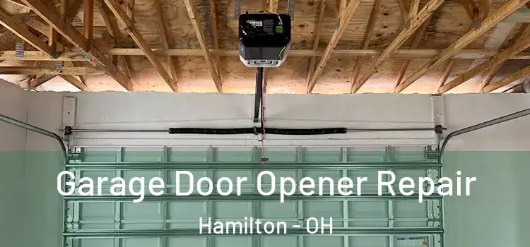  Garage Door Opener Repair Hamilton - OH