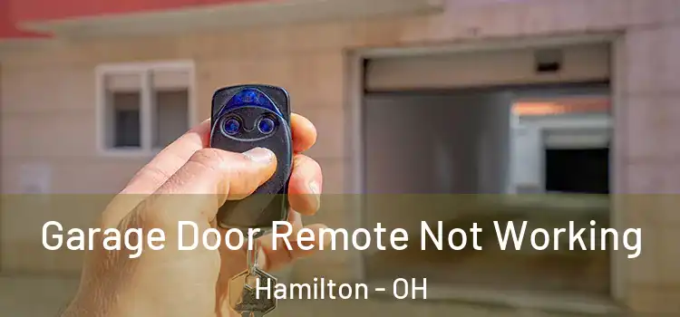  Garage Door Remote Not Working Hamilton - OH