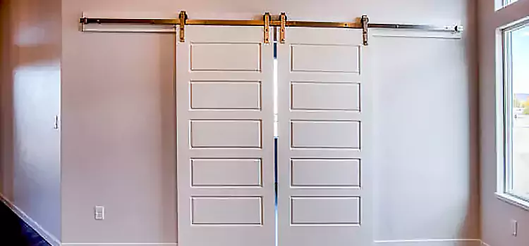 Glass Barn Door with Installation Hardware Kit Hamilton