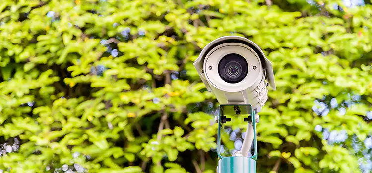 Advanced Surveillance Solutions for Every Need in Hamilton
