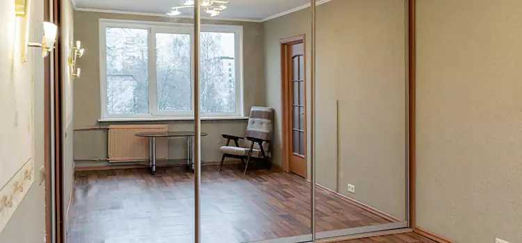 Mirror Closet Door Roller Replacement Hamilton